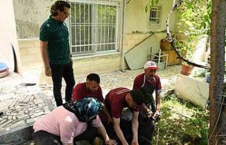 174 vatandaşın evlerine gidilerek, kurban kesim...