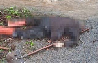 19 Mayıs’ta büz açmaya giden şahıs ölü bulundu