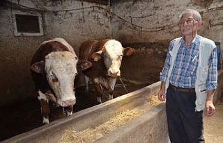 1 ton 400 kiloluk "Beyazcan" ve 1 ton 360...