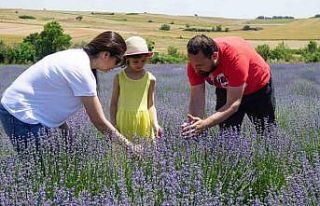 5 yıl önce Edirne’de lavanta bahçesi kuran çift...
