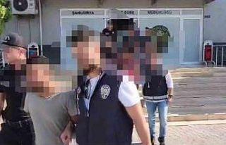 7 ilde dolandırıcılık operasyonu