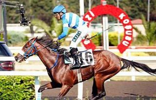 97. Gazi Koşusu’nun kazananı Urfa Aslanı oldu