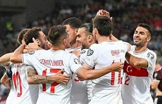 A Milli Takım, Japonya ile özel maç yapacak