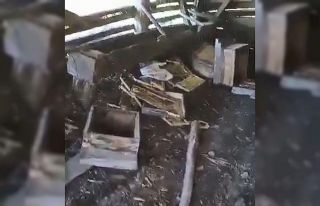 Aç kalan ayı arı kovanlarını parçaladı