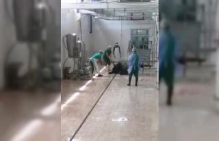 Adana Et ve Süt Kurumu’nda skandal görüntüler