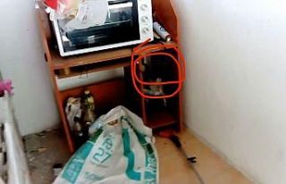 Adana’da eve giren yılan itfaiye ekipleri tarafından...