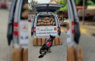 Adana’da kaçak 255 kilogram tütün ele geçirildi