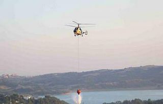 Adana’daki orman yangını kontrol altına alındı