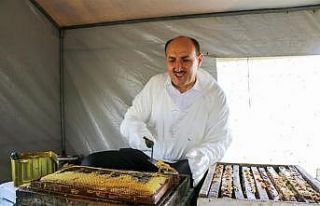 Adana’dan bal hasadı başladı