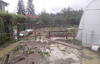 AFAD Düzce için uyardı: "Çok kuvvetli sağanak...