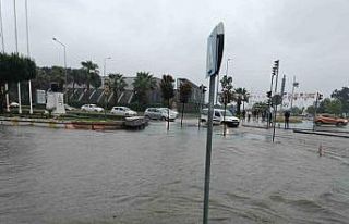 AFAD’dan Amasya, Samsun ve Sinop’taki sele ilişkin...
