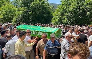Ağaç altında kalarak hayatını kaybeden köy muhtarı...