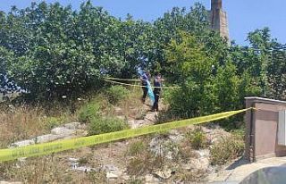 Ağaçlarında arasında ölü bulunmuştu, cinayete...