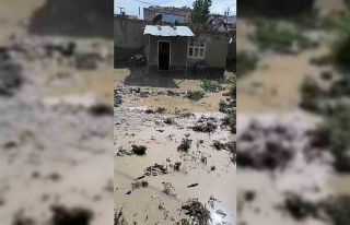 Ağrı’da 3 ev selden zarar gördü