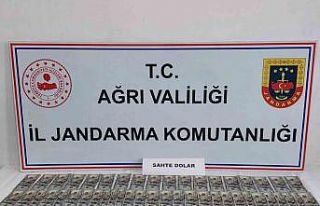 Ağrı’da Jandarmadan sahte dolar operasyonu