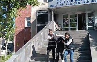 Ağrı’da oto faresi yakalandı