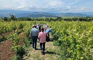 Akademisyenler bağ üreticileri ile buluştu