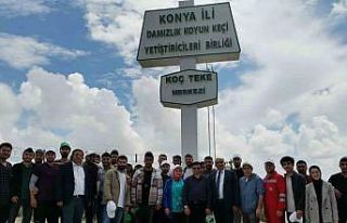 Akademisyenler ve öğrenciler Karapınar Koç Teke...