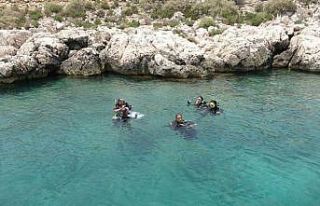 Akdeniz Boğsak Adası çevresinde zengin biyoçeşitliliği...