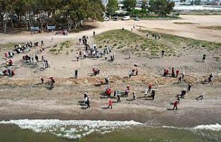 Akdeniz’de caretta carettaların yuvalandığı...