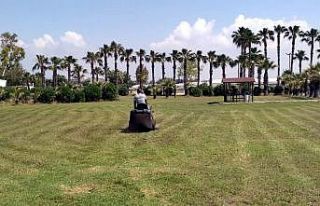 Akdeniz’de yeşil alanlar elden geçiriliyor