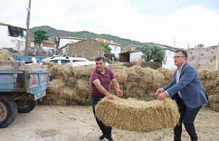 Alaşehir Belediyesi kırsal mahallerde saman dağıttı