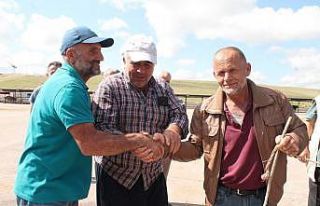 Alıcılar ve satıcılar kurban fiyatında anlaşamayınca...