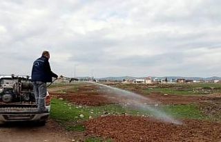 Altıeylül’de ilaçlama çalışmaları aralıksız...