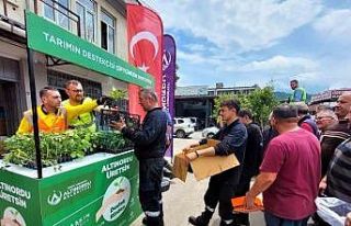 Altınordu’da çiftçilere 452 bin adet fide desteği