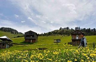 Altınpınar Gölüne ziyaretçi akını