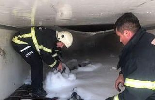 Amasya’da mangal kömürü yüklü tırda çıkan...