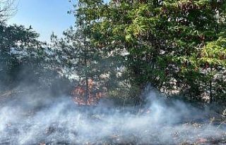 Anız yangını ormana sıçradı, 3 dönüm makilik...