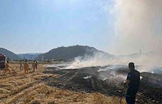 Anız yangını uyarısı