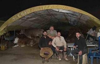 Ankara’da kurban pazarlarında gece zor geçiyor