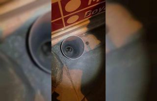 Anne kedi yardım istedi, itfaiye ekipleri kurtardı