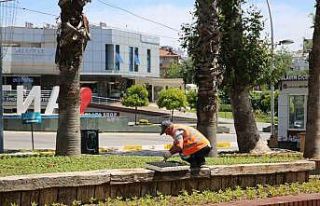 Antalya bu yaz çiçek bahçesine dönecek