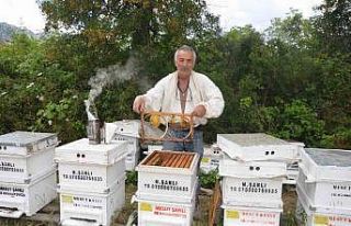Antalya’da arı kovanlarının yeni adresi bin 960...