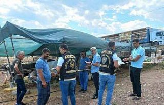 Antalya’da kurban pazarlarında dolandırıcılık...