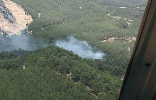 Antalya’da orman yangını