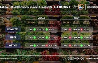 Antalya’da sebze fiyatlarında yüzde 36,69 düşüş