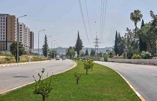 Antalya’nın kurtuluş caddesi yemyeşil oldu
