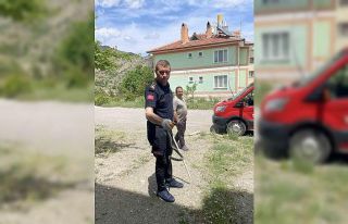 Apartmana giren yılanı itfaiye ekipleri yakaladı