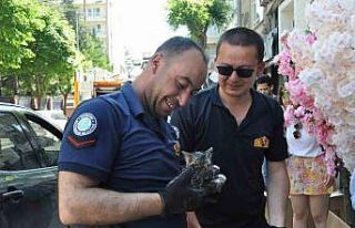 Aracın altına sıkışan yavru kedi itfaiye ekiplerince...