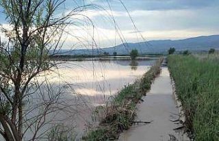 Aralıksız yağışlar tarımsal üretimi olumsuz...