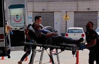 Arıların saldırısına uğrayan genç hastanelik...