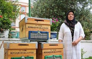 Aydın Büyükşehir Belediyesi’nden kadın arıcılara...