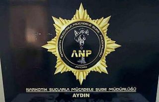 Aydın’da eş zamanlı uyuşturucu operasyonu: 13...