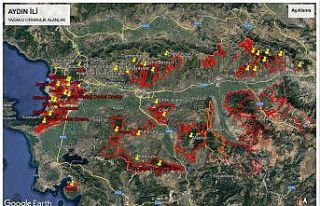 Aydın’da ormanlık alanlara izinsiz girilemeyecek
