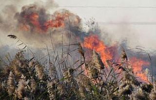 Aydınlı çiftçiler anız yakımına karşı uyarıldı