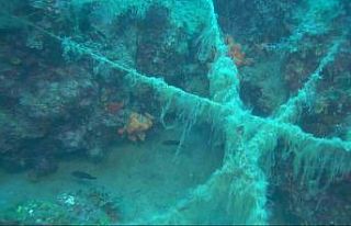 Ayvalık açıklarında doğal resiflerin üzerini...